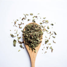Load image into Gallery viewer, Spearmint Leaf Tea Organic